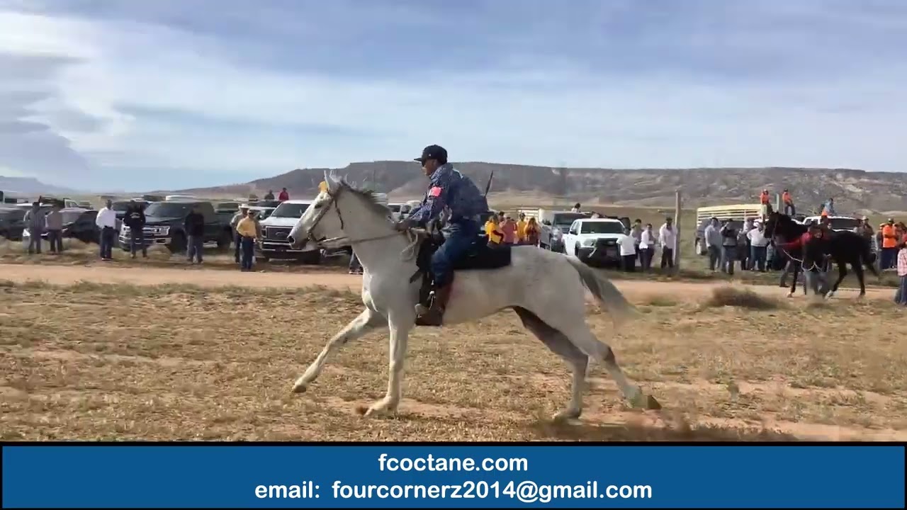 Dash for Cash Authentic Horse Race 2021 Part 2