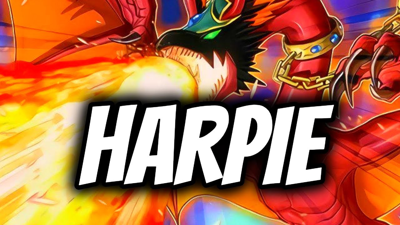 HARPIE DECK RECIPE + COMBOS | Yu-Gi-Oh! TCG