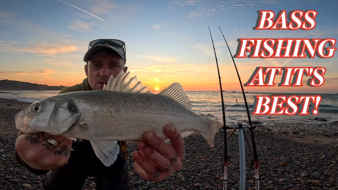 Рыбалка на морского окуня с берега с использованием крупных свежевыкопанных наживок из морских че...