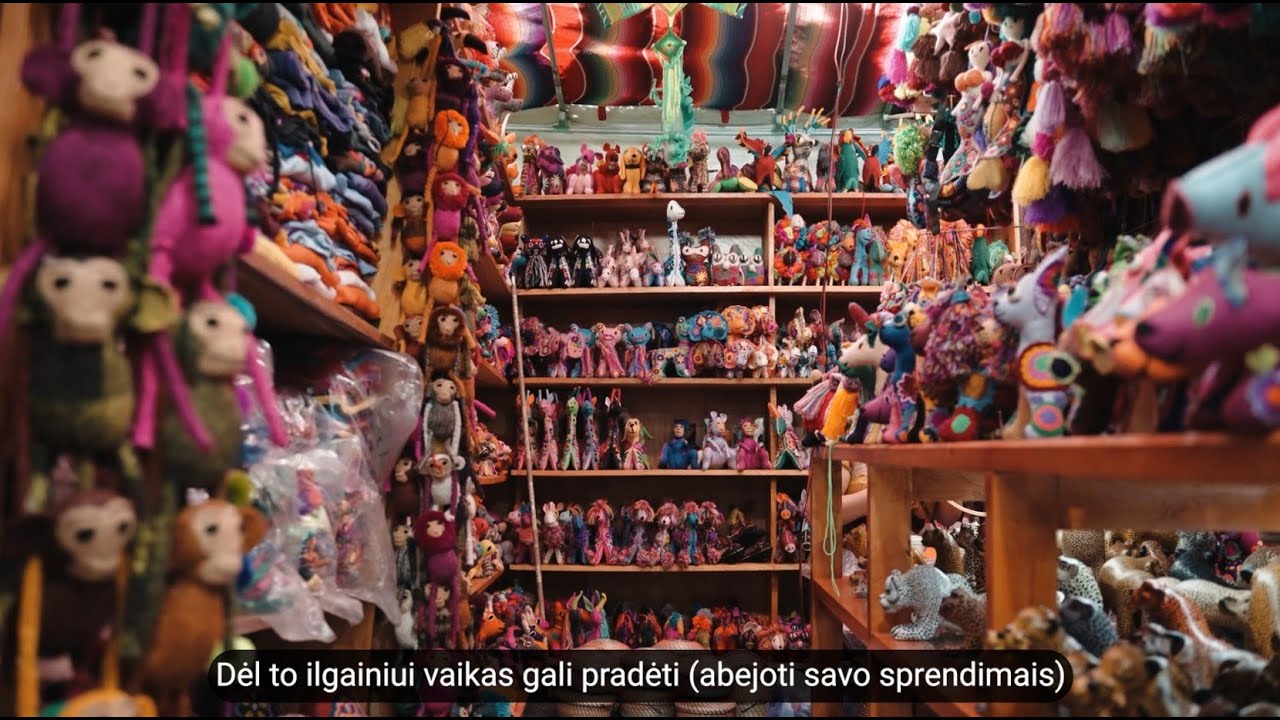 Kodėl svarbu leisti vaikui išsirinkti žaislą pačiam?