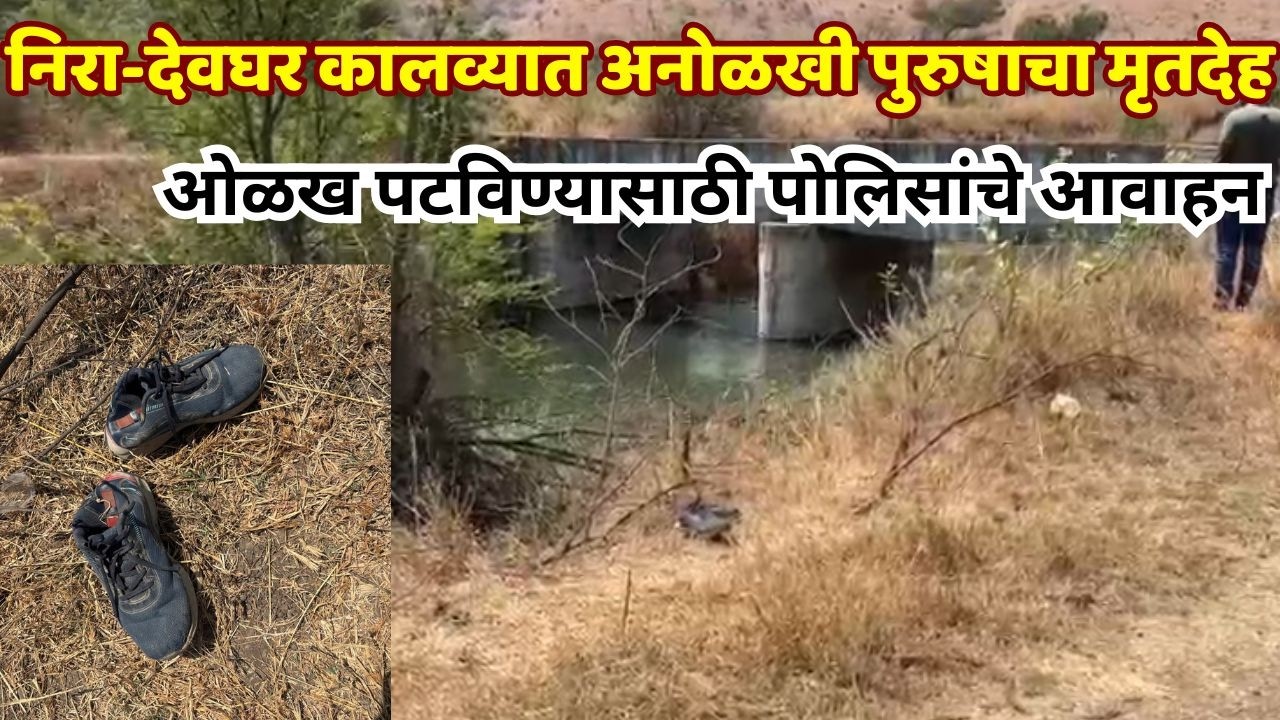 satara newsनिरा-देवघर कालव्यात अनोळखी पुरुषाचा मृतदेह; ओळख पटविण्यासाठी पोलिसांचे आवाहन