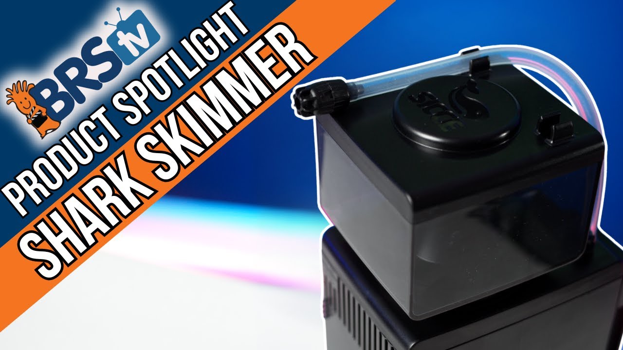 Sicce's Shark Internal Protein Skimmer REALLY Stands Out!