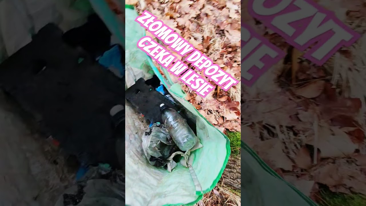 Złomowy depozyt czeka w lesie 🌲