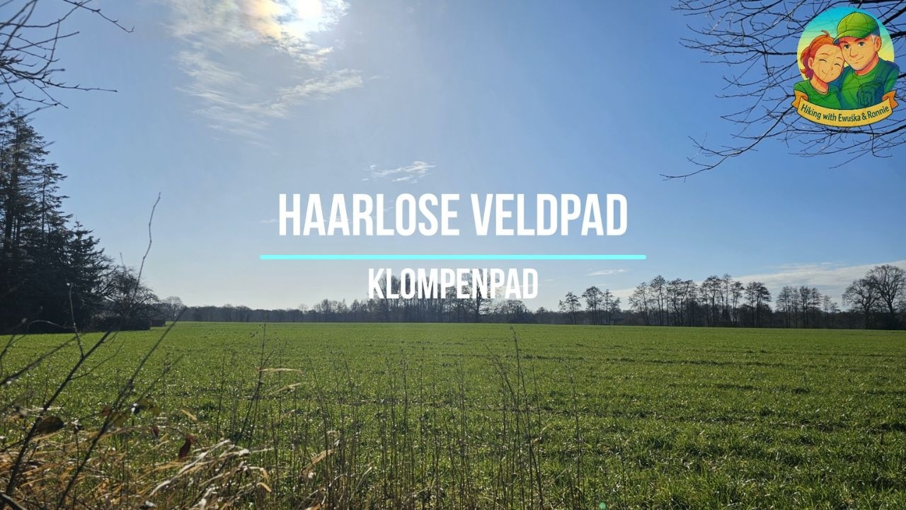 Haarlose Veldpad - Haarlo - 01-03-2026 (klompenpaden, wandelen, natuur, walking, hiking, nature)