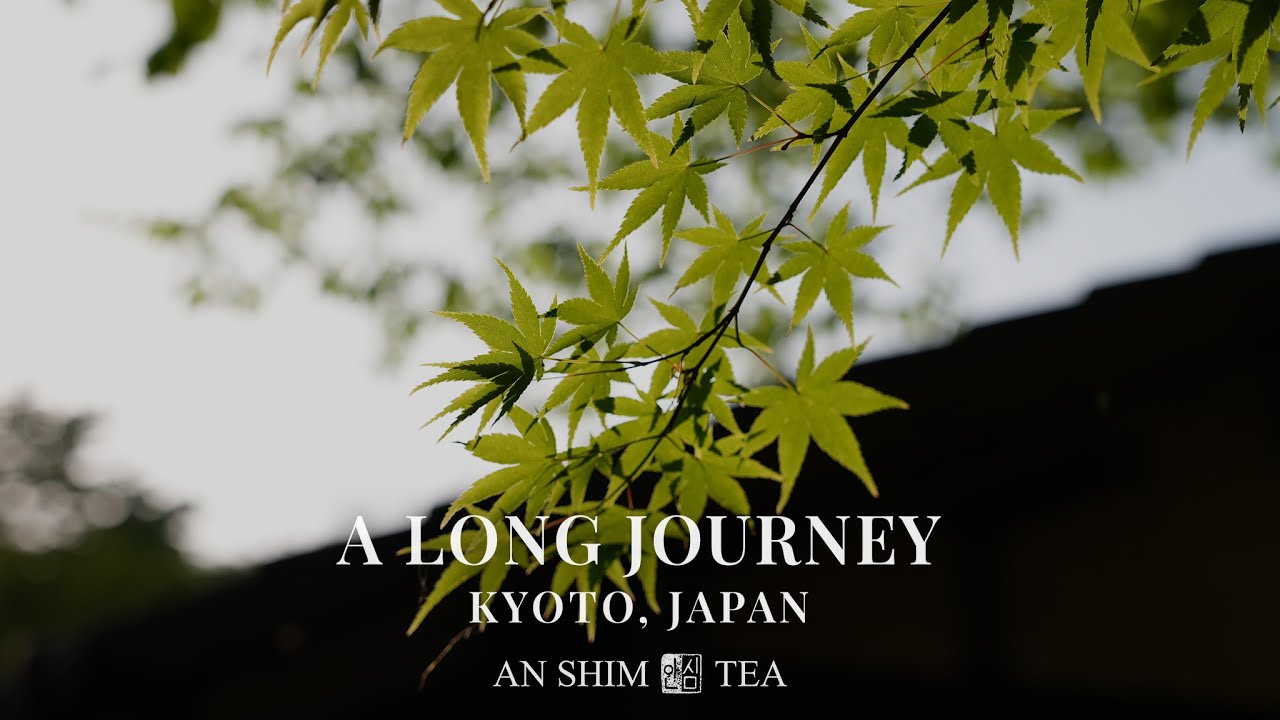A long journey by AN SHIM TEA