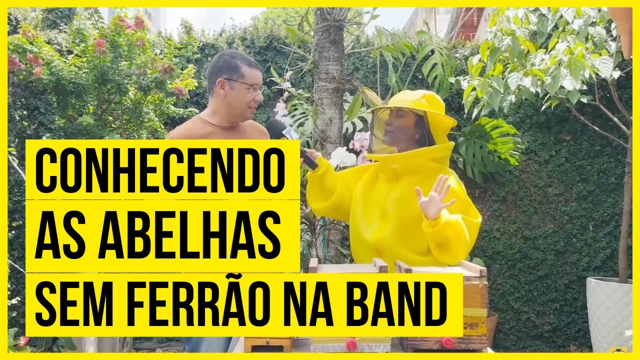 Programa Cheguei Chegando — Conhecendo as Abelhas Sem Ferrão