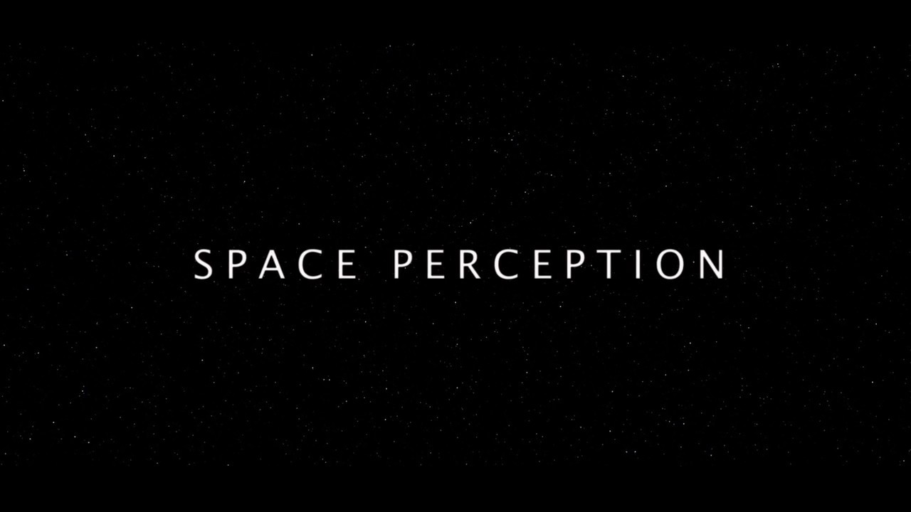 Space Perception