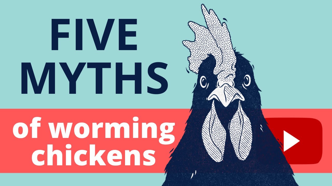 The 5 myths of worming chickens