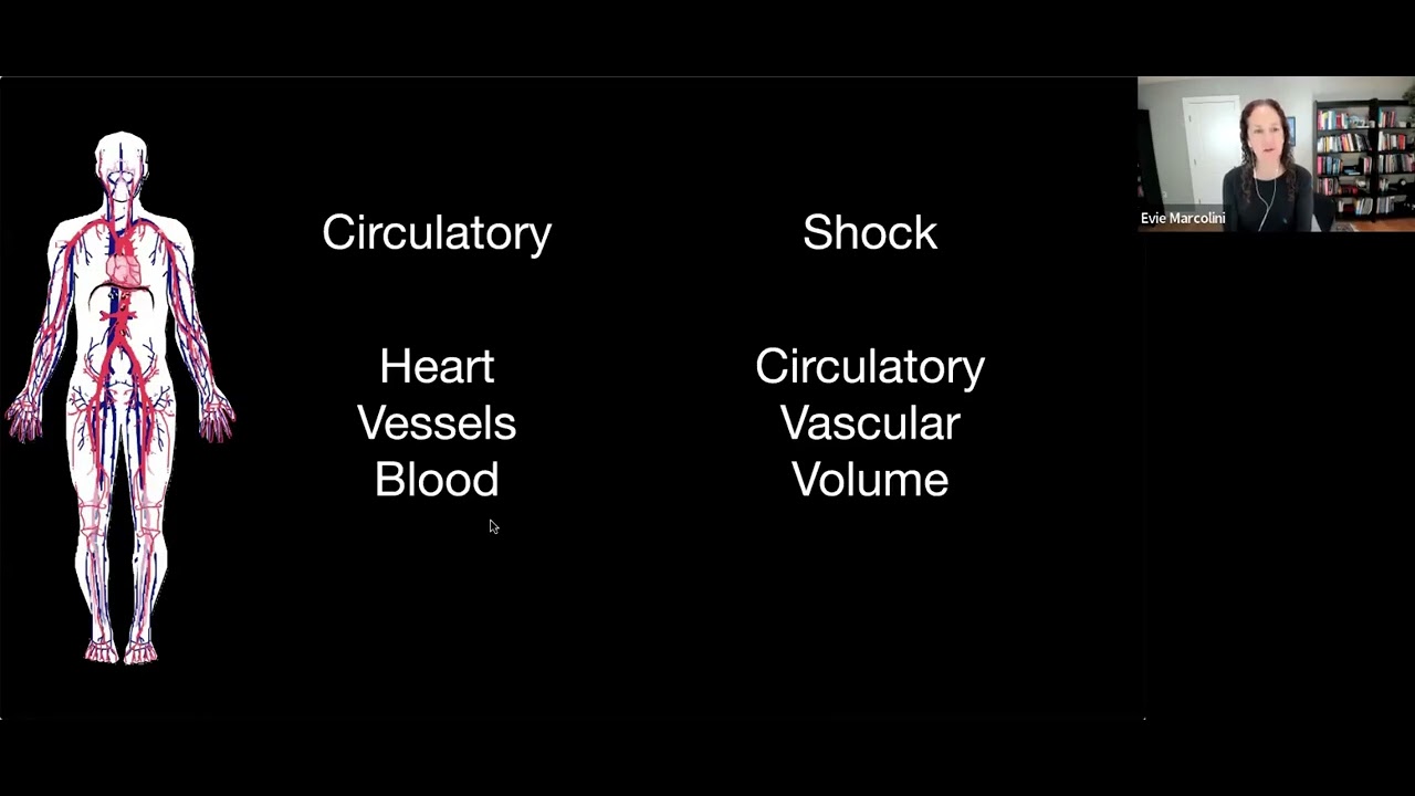 Circulatory Respiratory And Nervous Systems 5 10 2023 Virtual Training