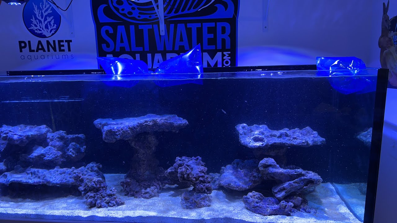 Aquarium update!!!