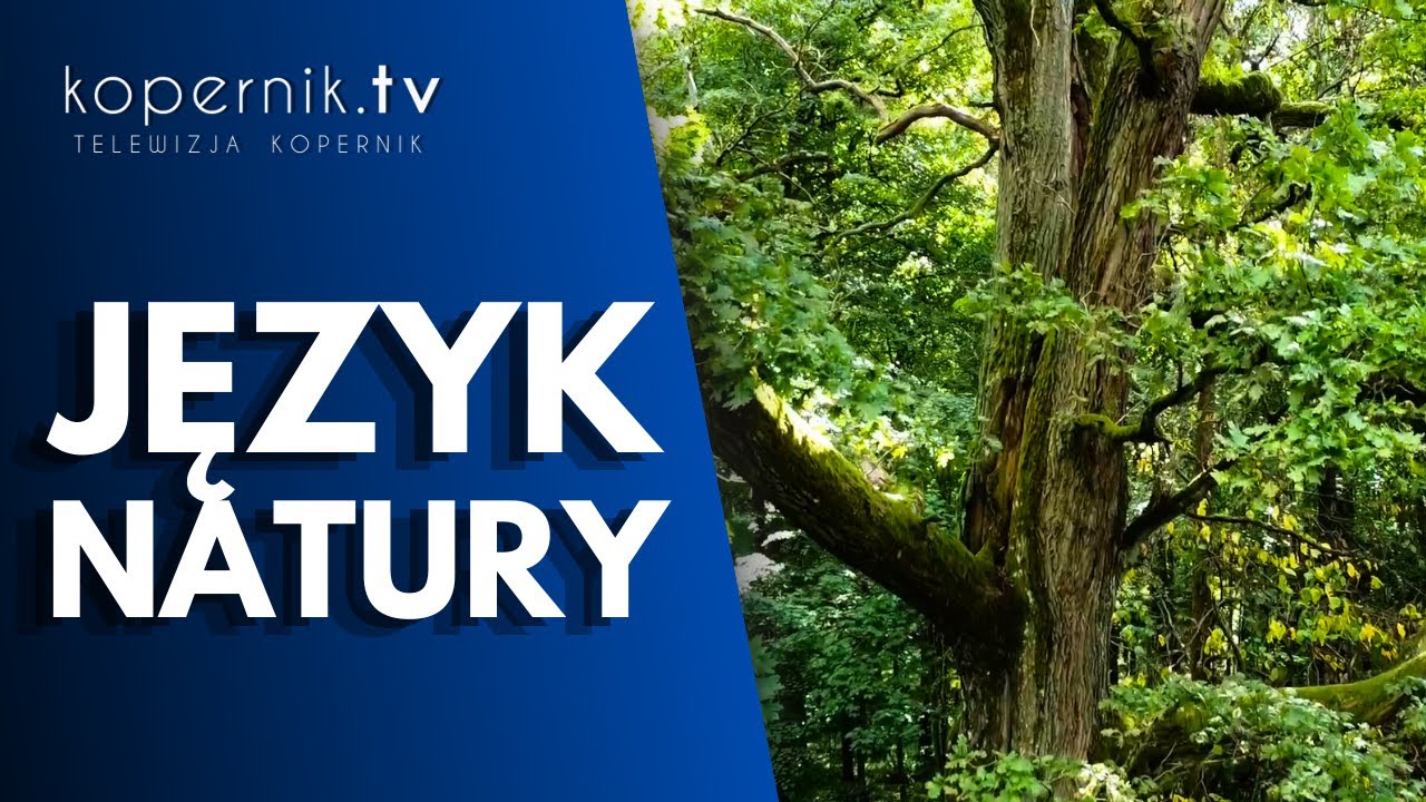 Miłakowo - swobodny kontakt z przyrodą | kopernik.tv