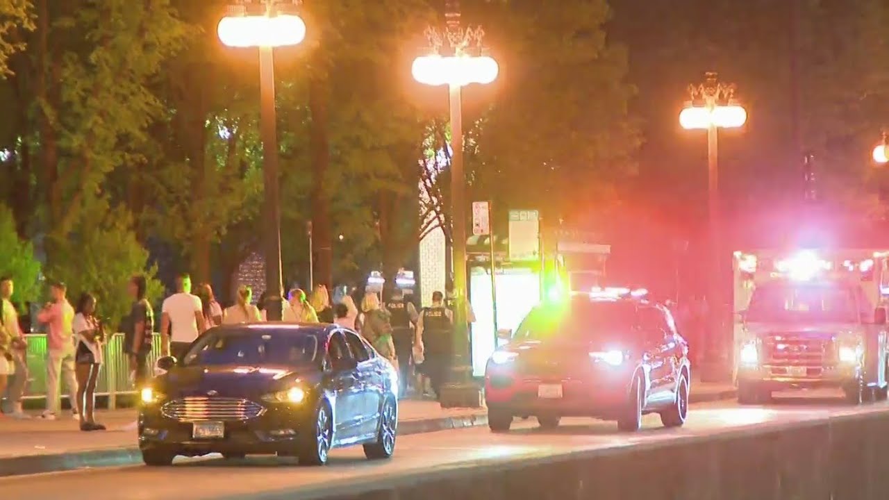 Police shut down Millennium Park after teen shot and killed