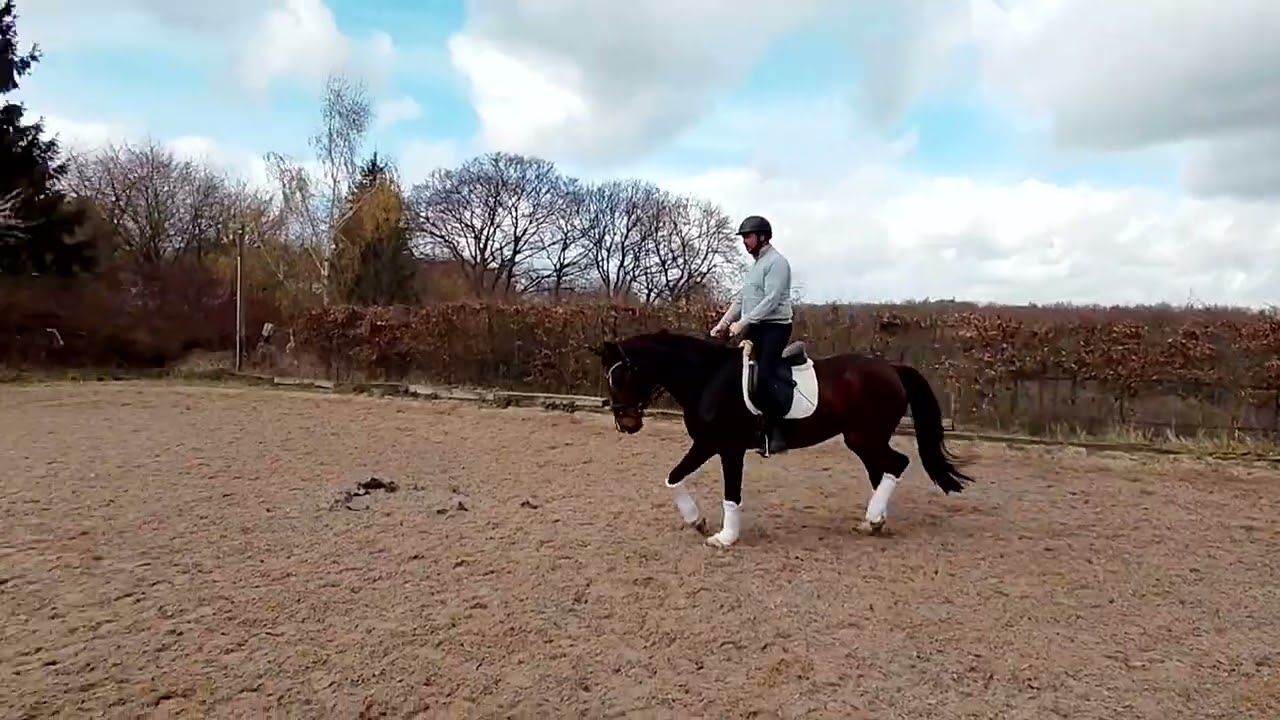 Cira 7.mal mit Reiter 12.3.26