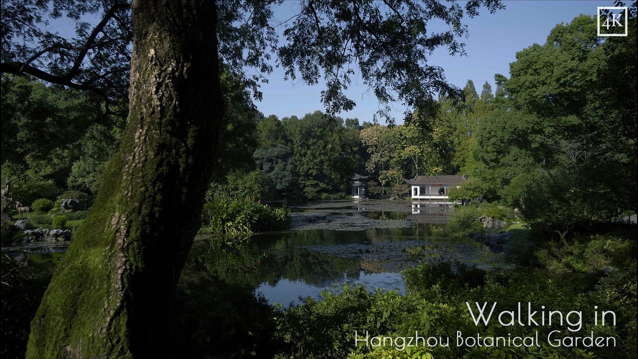 Visit Hangzhou Botanical Garden
