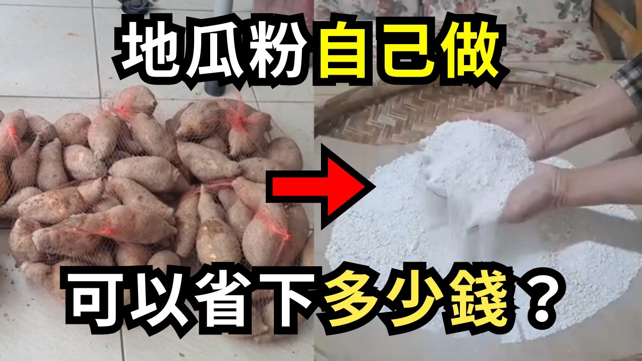 手工地瓜粉為什麼這麼貴？自己做省多少錢？