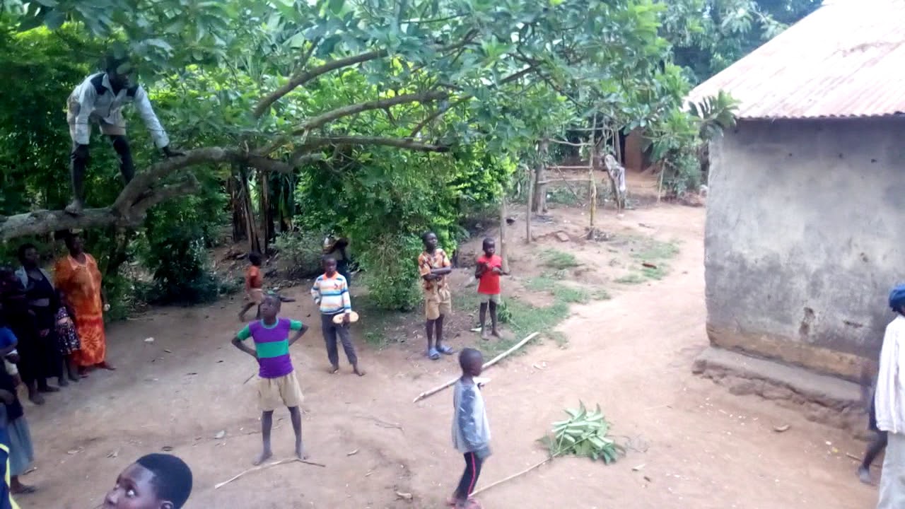 Male circumcision witnessed in bubulo