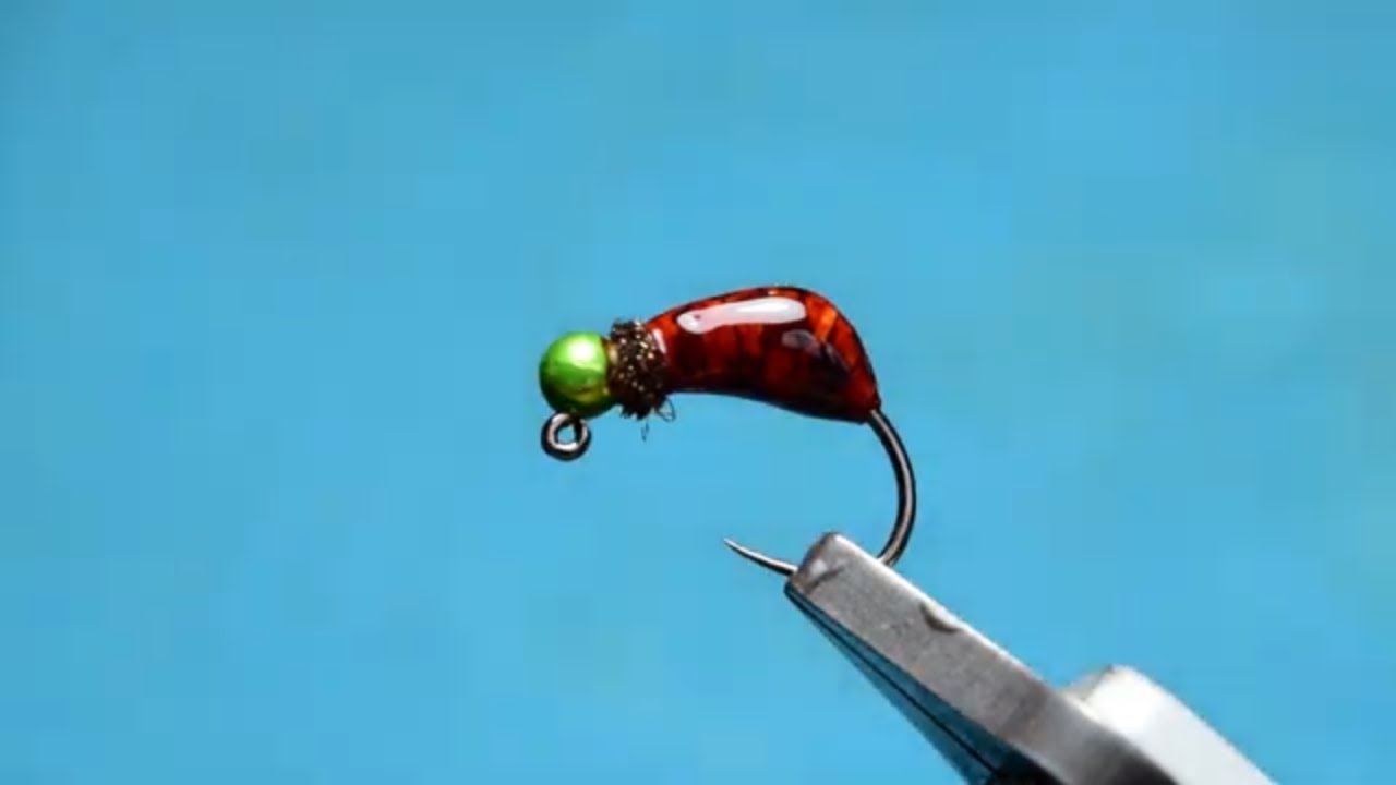 Fly Tying The Caddis Bomb AP Fly Tying