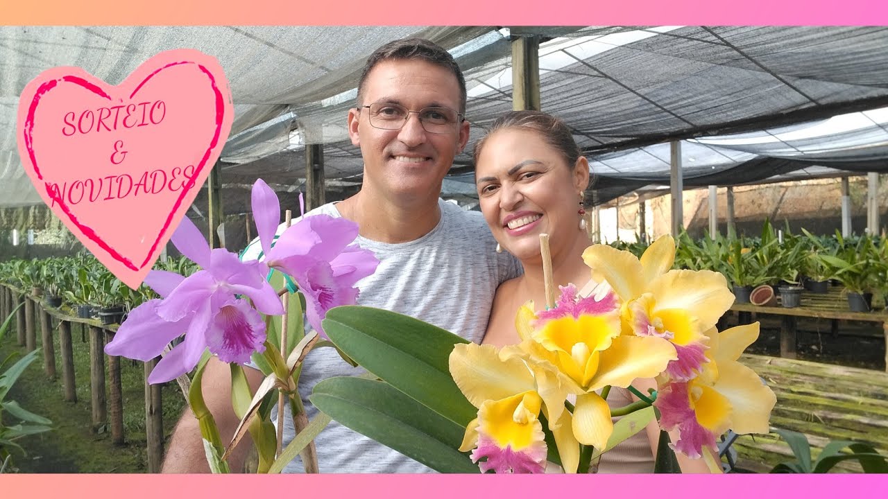 Orquidário Monte Negro: Novidades e sorteio de uma linda orquídea ❤️❤️❤️