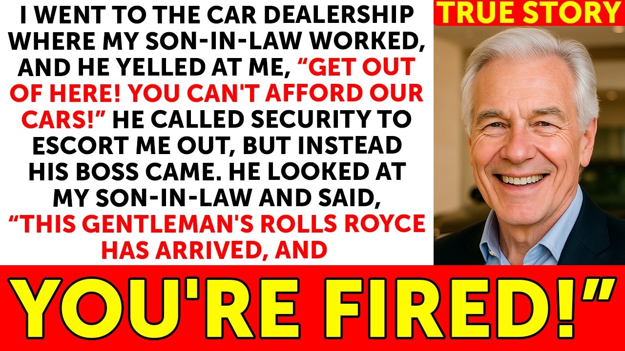 My Son-In-Law Kicked Me Out Of The Car Dealership Where He Worked, But When His Boss Saw Me...