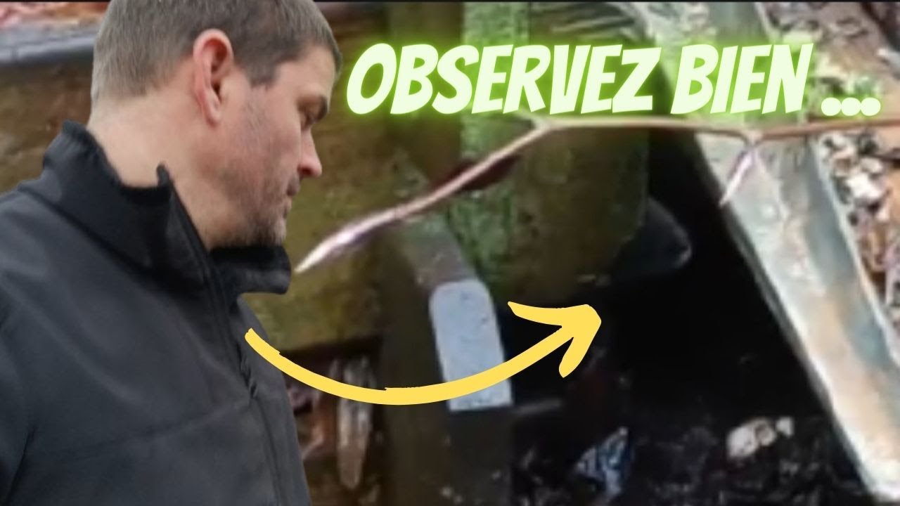 Comment se débarrasser des rats dans un composte ? Un intrut en direct !!