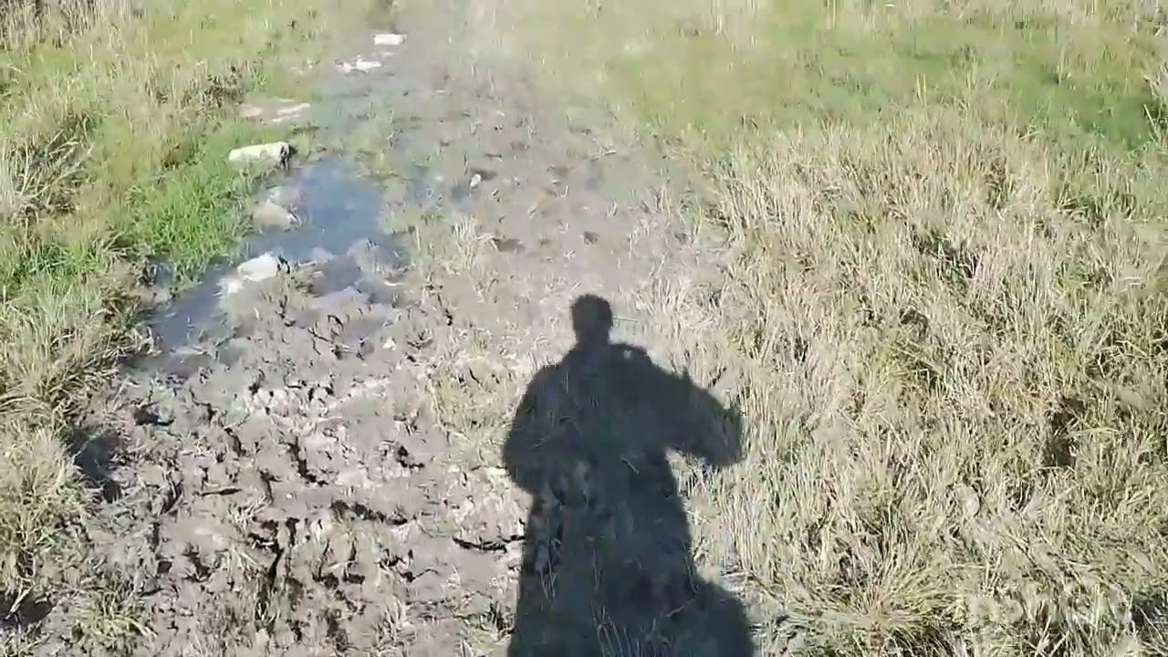 Бельцы,Сергей ШАТУН, экскурсия 