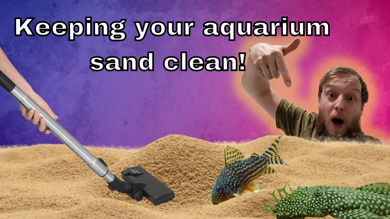 Cleaning aquarium sand, gravel and substrate.