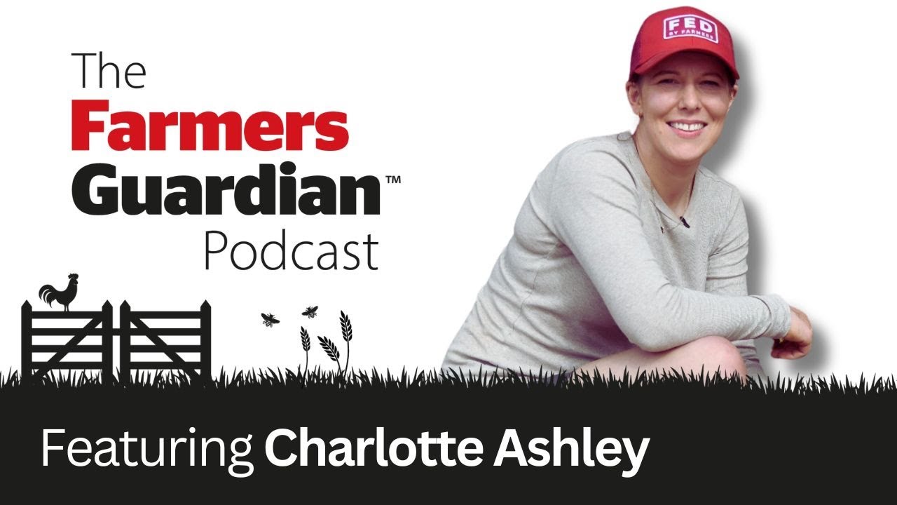 Charlotte Ashley: Making the switch from beef to dairy on her Cumbria farm (part one)