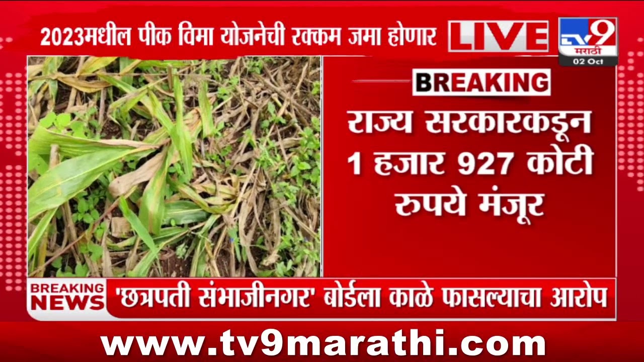 Crop Insurance in Kharip | 2023मधील खरिपातील पीक विमा योजनेची रक्कम 3 दिवसात जमा होणार