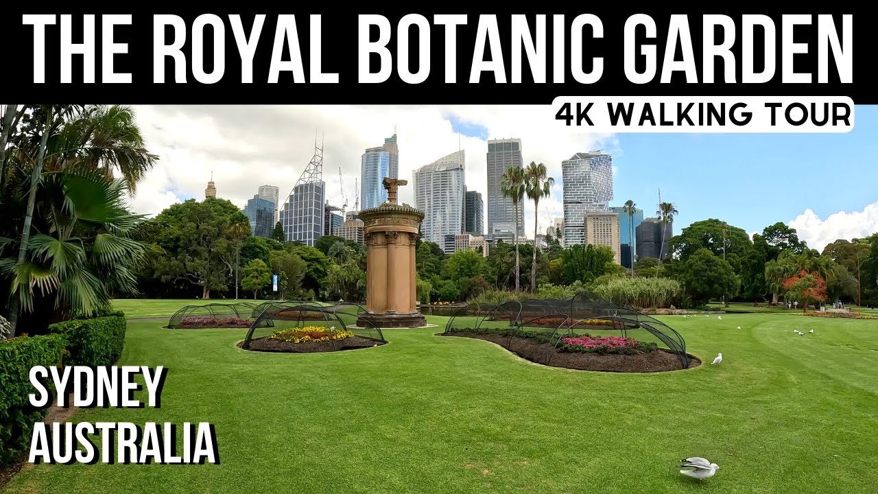4K 🌳 The Royal Botanic Garden Sydney Walking Tour 🇦🇺 Australia