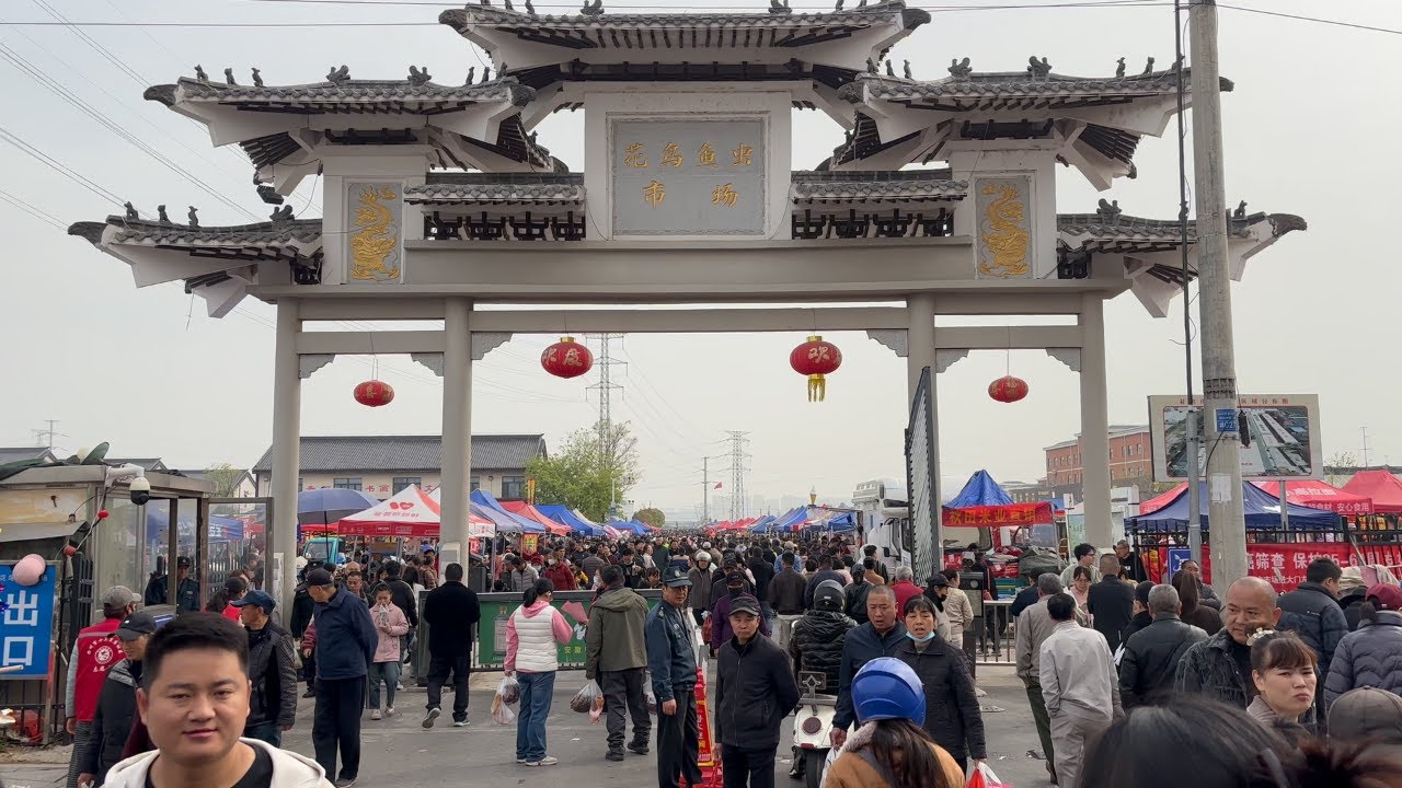 The largest morning market scene in eastern China, experience the real Chinese market