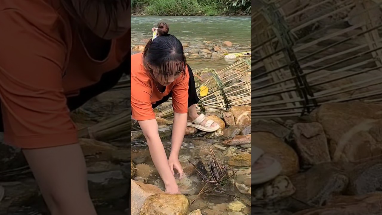 How to trap stream fish with bamboo basket - Daily Life Thuy  