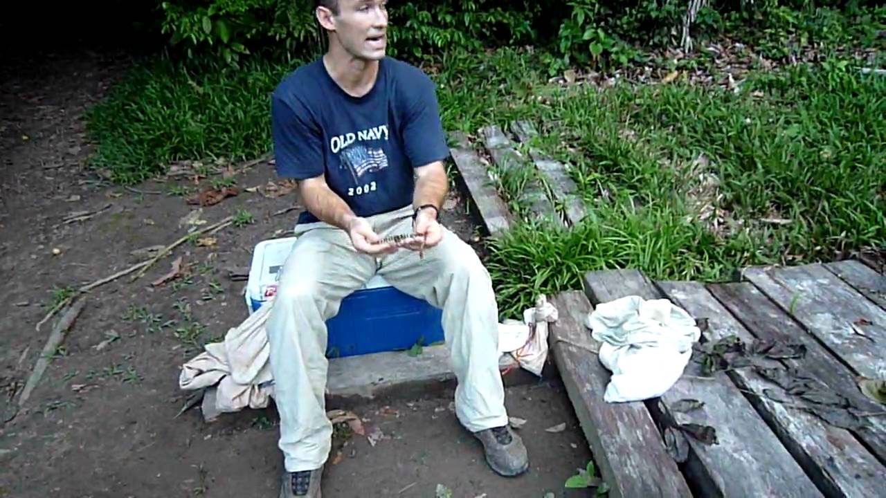 SWT- Some cool amazon snakes (pt 1)