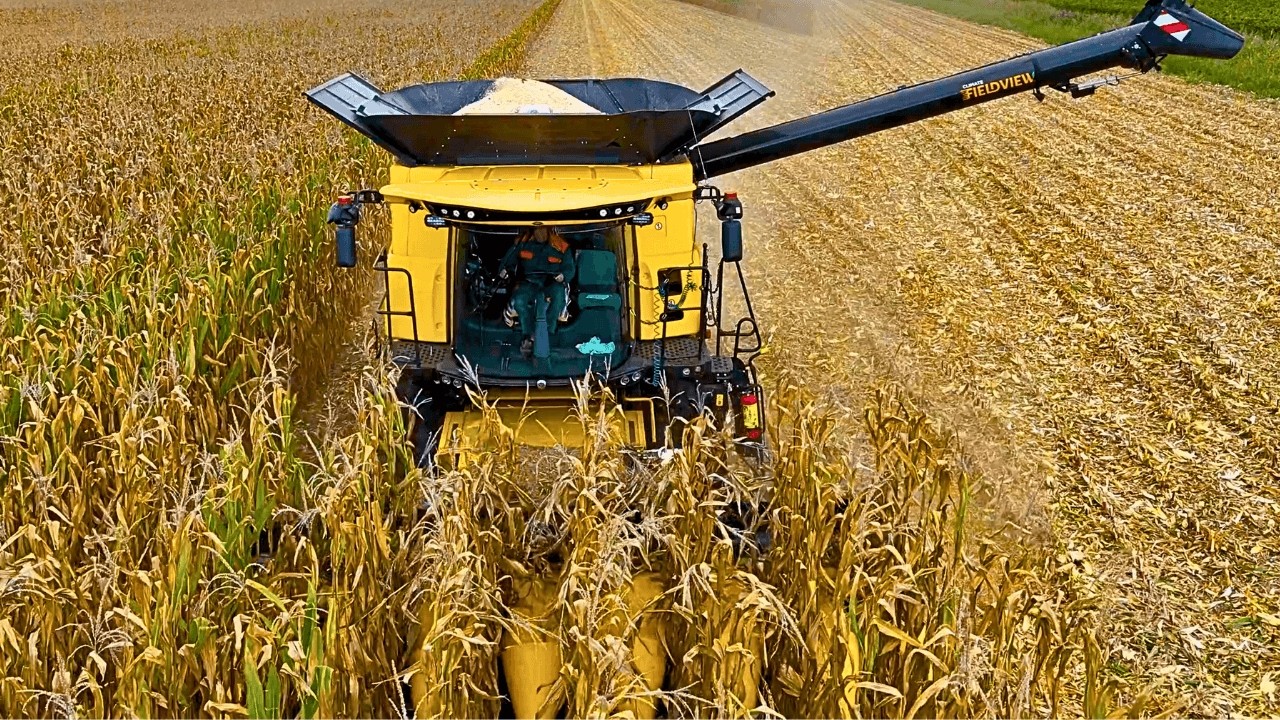 Урожай кукурузы 2025 года 2X NEW HOLLAND CR REVELATION