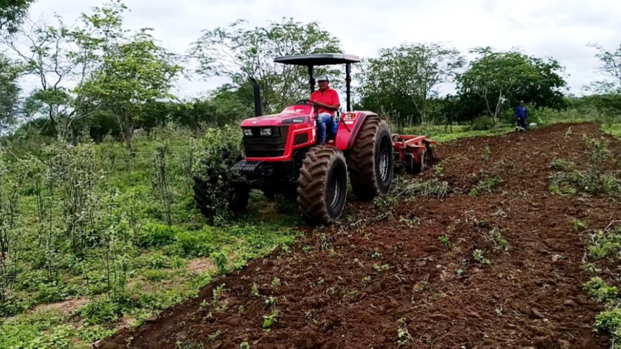 Tratores no corte de terra a todo vapor ♨️#trator #agro #lavoura #rural.