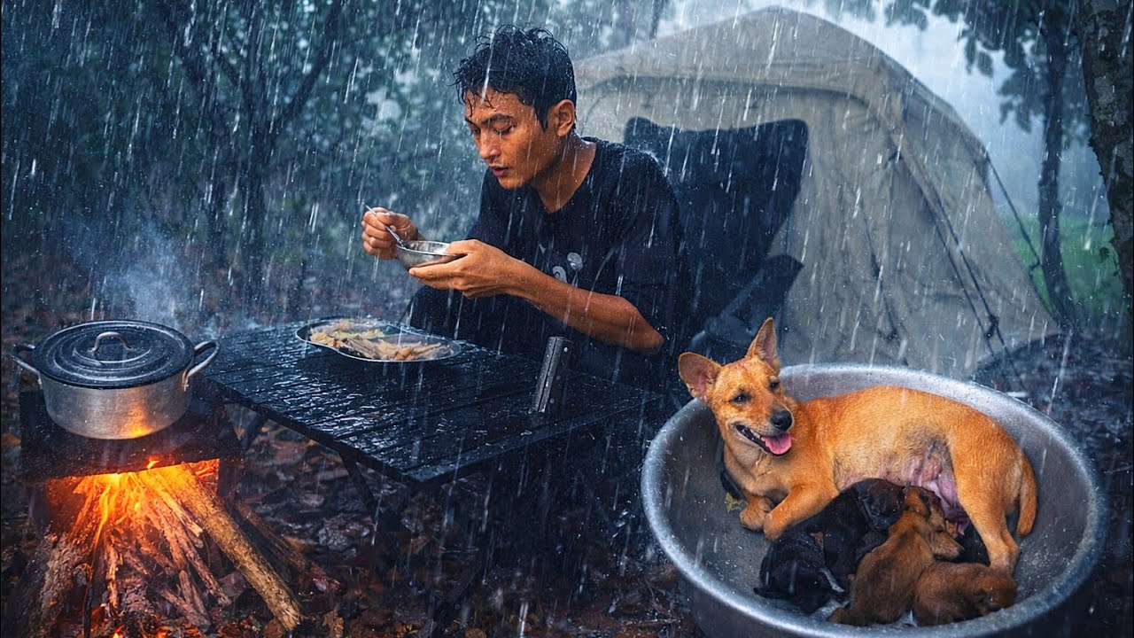 Camping in heavy rain with dogs overnight ASMR 