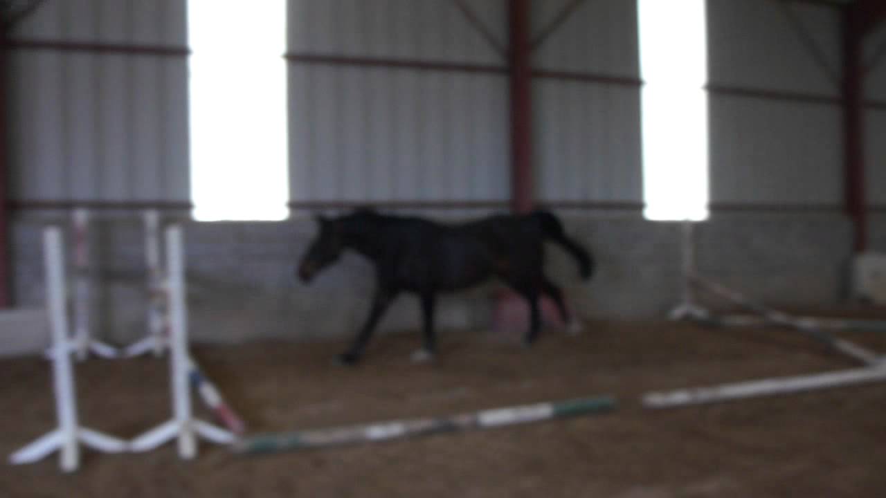 M4H01292.MP4