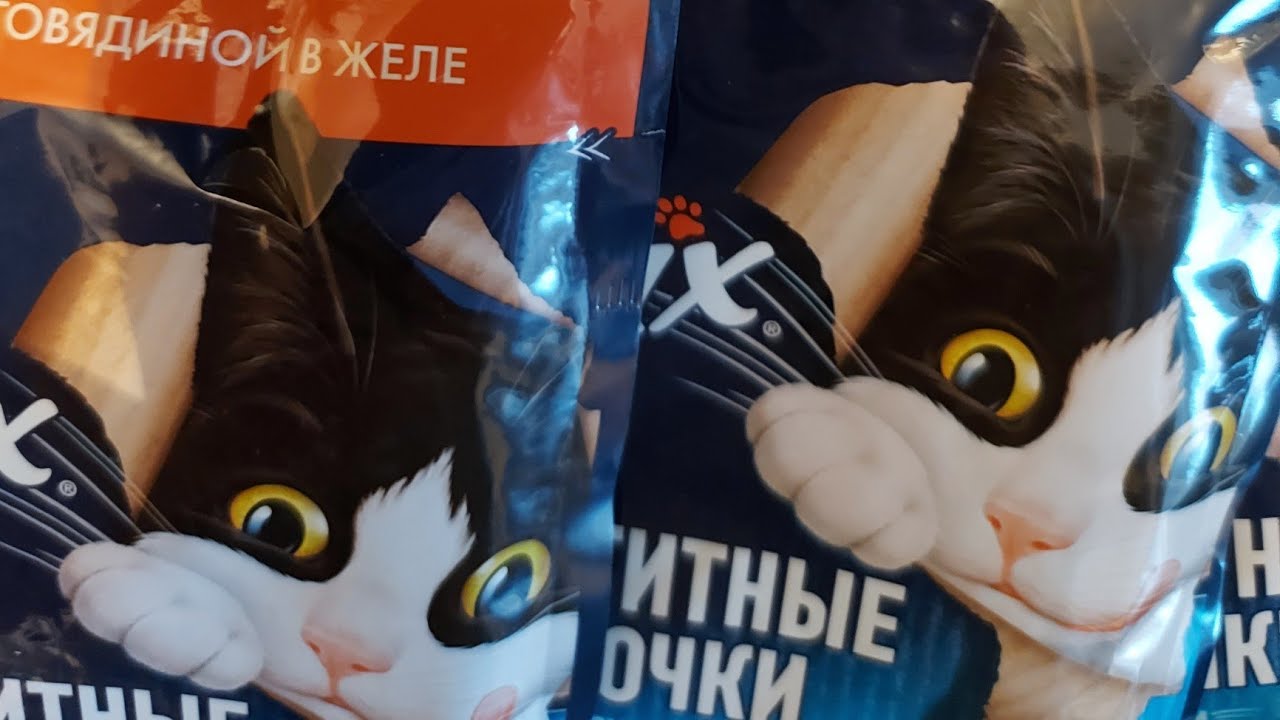 😽Из за кошек, в магазин😻😼/обзор покупок😊