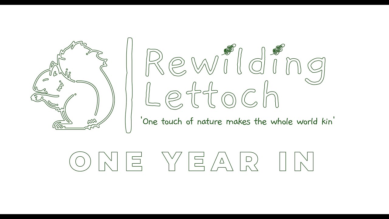 Rewilding Lettoch - One Year In