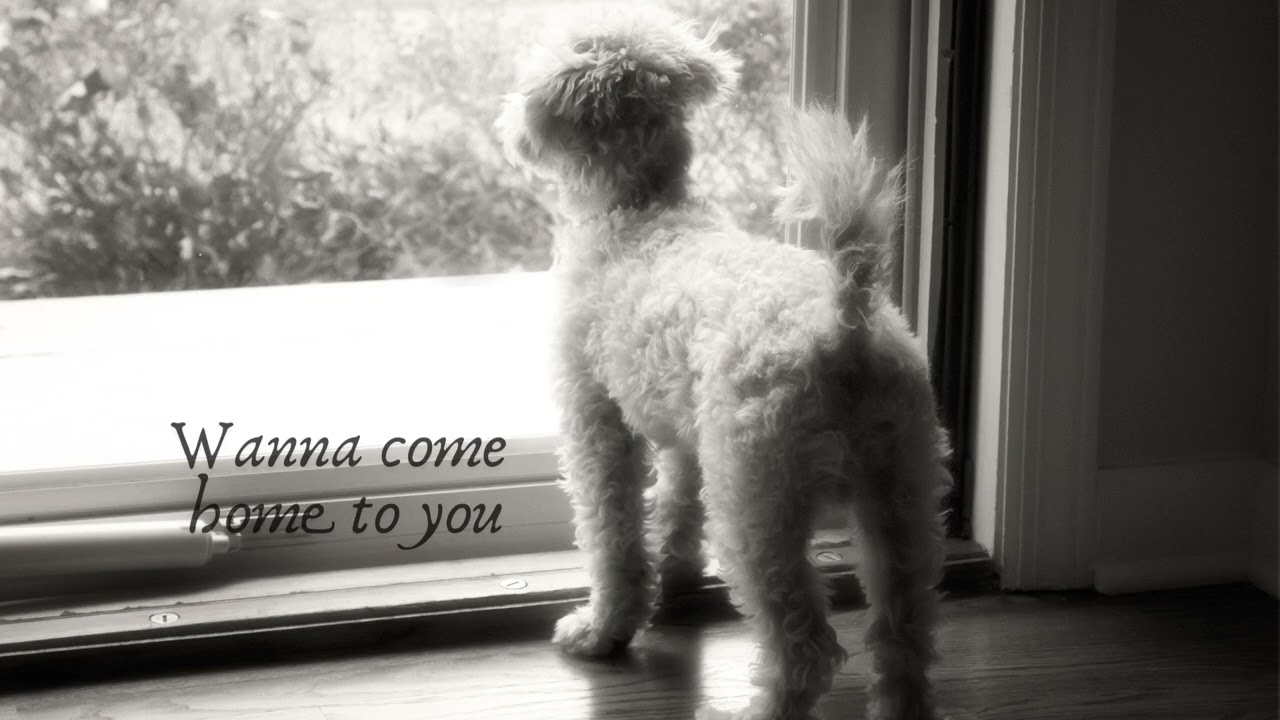 Wanna come home to you - SUAIS (Official Audio)