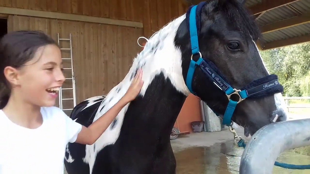 [Équitation]Journée d été dans ma peau