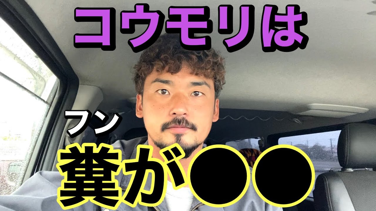 【急増中】コウモリが自分の家に侵入してないか調べる方法