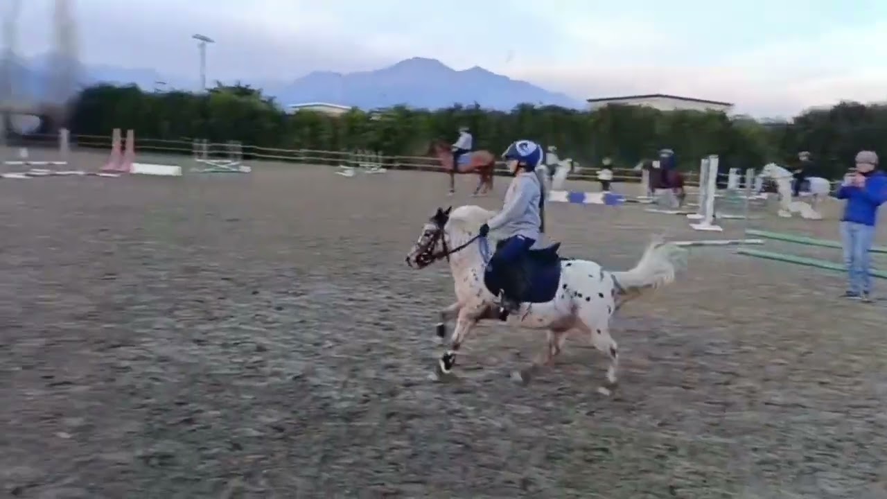 Sociale salto ostacoli 50 /60🥇🎊💞 #equitazione #bimbi a cavallo#cavalli #pony#felicità#horse #mia