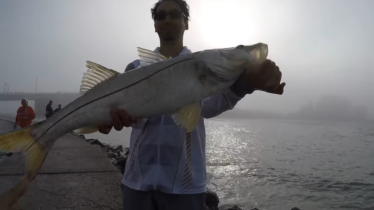 John's Pass Fishing!! Monster Snook On Pompano Jig