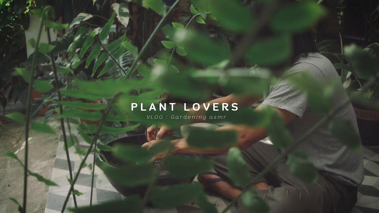 🌿Plant lovers🌿