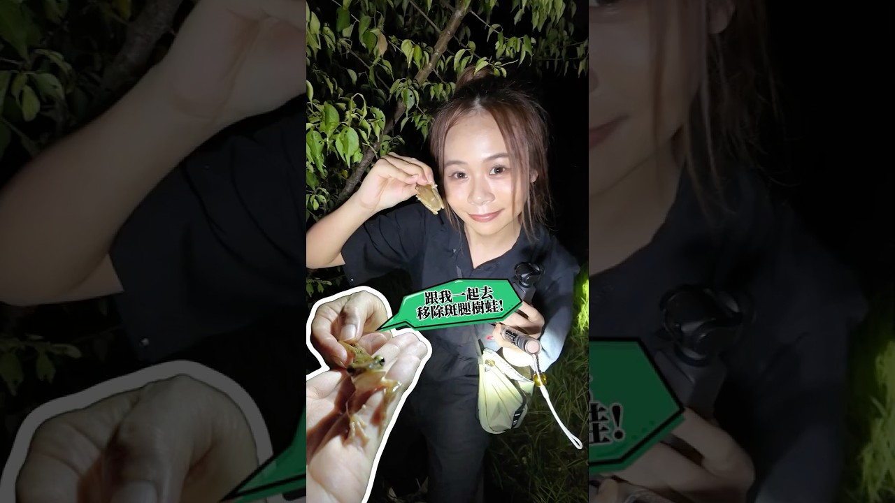跟我一起去移除外來種斑腿樹蛙!🐸 #校園大賞2024