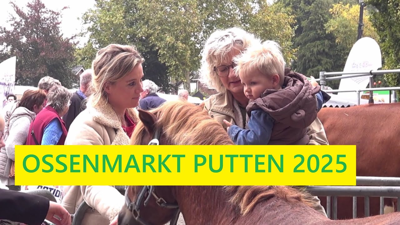 Ossenmarkt Putten 2025 met De Kajuitzangers. Woensdag 8 Okt. 2025