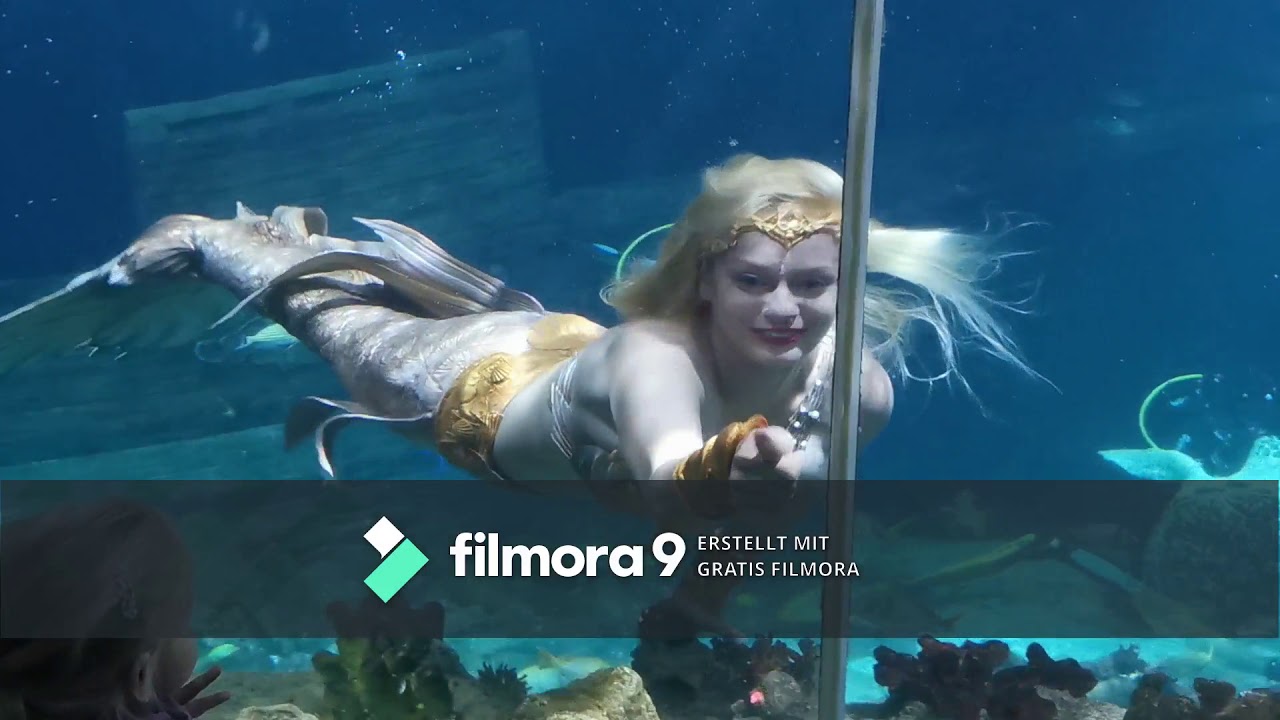Meerjungfrau Daniela Rodler taucht im Sea Life Speyer
