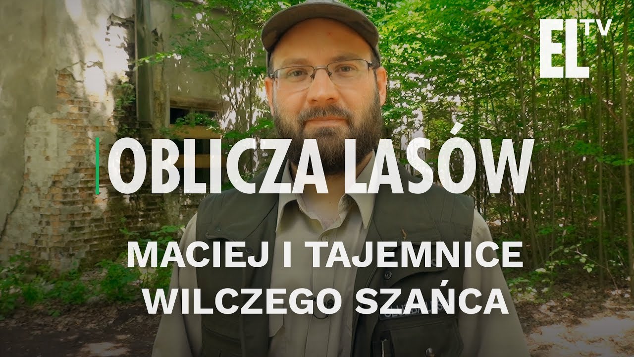 Maciej i tajemnice Wilczego Szańca | Oblicza las&oacute;w #29