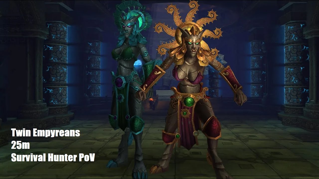 Twin Empyreans Heroic 25m | Throne of Thunder | Survival Hunter PoV | Mist of Pandaria Classic