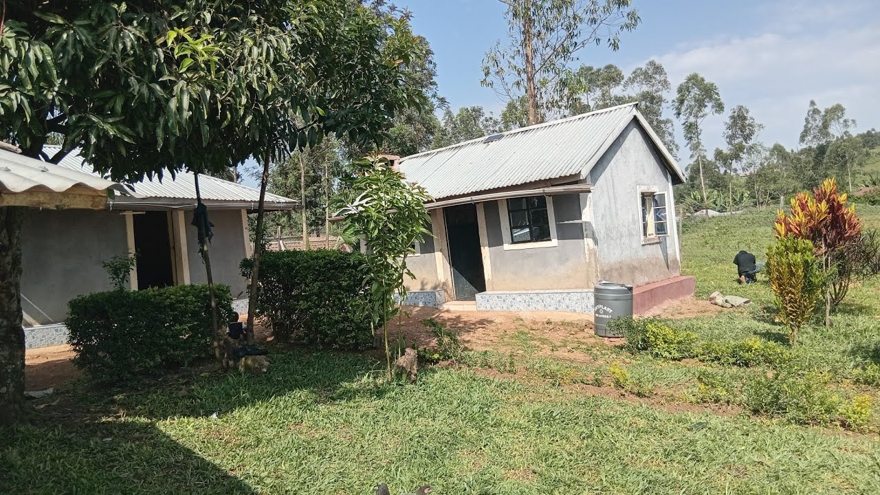 MAINTAINING YARD AT MAMA ABOY 